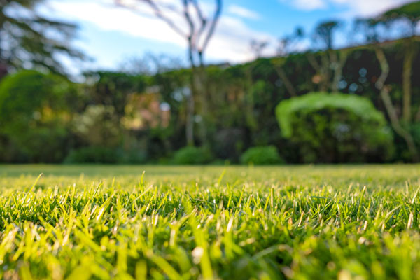 fertilizer1