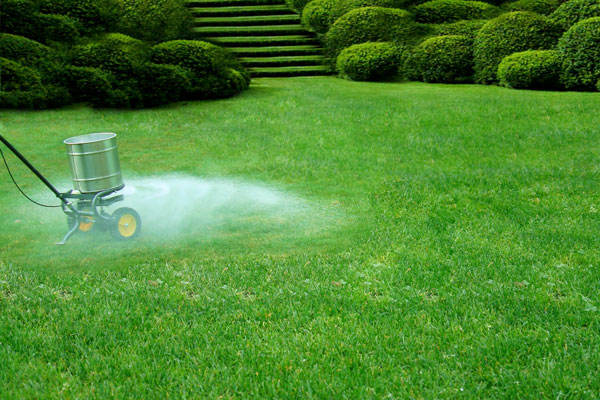 fertilizer2